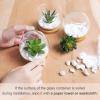 imageMkono Artificial Succulent in Clear Glass Pot 3 Mini Potted Fake Plants for Women Office Decor Small Faux Green Plant with BambooTray for Bookshelf Bathroom Kitchen Tabletop Centerpiece