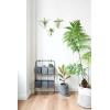 imageMkono Wall Planter Hanging Propagation Stations Flower Vase Glass Pots Holder for Hydroponic Plants Indoor Home Office Living Room Bathroom Decor Gifts 3 Pack