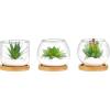 imageMkono Artificial Succulent in Clear Glass Pot 3 Mini Potted Fake Plants for Women Office Decor Small Faux Green Plant with BambooTray for Bookshelf Bathroom Kitchen Tabletop Centerpiece