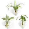 imageMkono Wall Planter Hanging Propagation Stations Flower Vase Glass Pots Holder for Hydroponic Plants Indoor Home Office Living Room Bathroom Decor Gifts 3 Pack