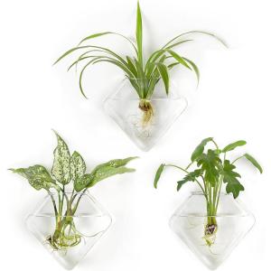 imageMkono Wall Planter Hanging Propagation Stations Flower Vase Glass Pots Holder for Hydroponic Plants Indoor Home Office Living Room Bathroom Decor Gifts 3 Pack