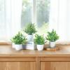 image:imageMkono 4 Packs Fake Plants Mini Artificial Greenery Potted Plants Faux Eucalyptus for Spring Decor Home Indoor Office Table Shelf Room Bathroom Farmhouse Decor