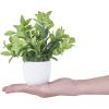 image:imageMkono 4 Packs Fake Plants Mini Artificial Greenery Potted Plants Faux Eucalyptus for Spring Decor Home Indoor Office Table Shelf Room Bathroom Farmhouse Decor