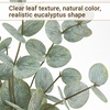image:imageMkono Artificial Eucalyptus Stems in Glass Vase Fake Plants for Home Decor Coffee Table Centerpieces Bathroom Farmhouse Office Entryway Greenery Decorations