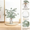 image:imageMkono Artificial Eucalyptus Stems in Glass Vase Fake Plants for Home Decor Coffee Table Centerpieces Bathroom Farmhouse Office Entryway Greenery Decorations