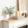 image:imageMkono Artificial Eucalyptus Stems in Glass Vase Fake Plants for Home Decor Coffee Table Centerpieces Bathroom Farmhouse Office Entryway Greenery Decorations