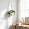 image:imageMkono Macrame Plant Hanger Indoor Hanging Planter Basket with Wood Beads Decorative Flower Pot Holder No Tassels for Indoor Outdoor Boho Home Decor 29 Inch POTS NOT Included 1 IvoryIvory