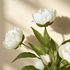 image:imageMkono 6 Pcs Peony Artificial Flowers 27 Faux Flowers for Vase Silk Flower Bouquet with Stems Fake Floral Arrangements Dining Table Centerpieces for Home Kitchen Party Decor