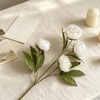 image:imageMkono 6 Pcs Peony Artificial Flowers 27 Faux Flowers for Vase Silk Flower Bouquet with Stems Fake Floral Arrangements Dining Table Centerpieces for Home Kitchen Party Decor