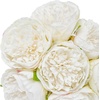 image:imageMkono Peony Artificial Flowers 2 Packs 10 Heads Fake Peonies Flowers with Stems Real Touch Faux Silk Floral Arrangements for Home Table Decoration Party Bride Bouquet Wedding Gifts