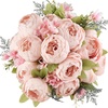 Spring Light Pink