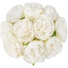 image:imageMkono Peony Artificial Flowers 2 Packs 10 Heads Fake Peonies Flowers with Stems Real Touch Faux Silk Floral Arrangements for Home Table Decoration Party Bride Bouquet Wedding Gifts