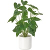 image:imageMkono Fake Plants in Pot 11 Potted Artificial Plants for Home Decor Indoor Faux Green Leaf Plant with Planter for Desk Shelf Table Office Room Decoration Grey SmallWhite