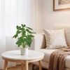 image:imageMkono Fake Plants in Pot 11 Potted Artificial Plants for Home Decor Indoor Faux Green Leaf Plant with Planter for Desk Shelf Table Office Room Decoration Grey SmallWhite