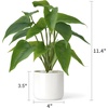 image:imageMkono Fake Plants in Pot 11 Potted Artificial Plants for Home Decor Indoor Faux Green Leaf Plant with Planter for Desk Shelf Table Office Room Decoration Grey SmallWhite
