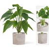 image:imageMkono Fake Plants in Pot 11 Potted Artificial Plants for Home Decor Indoor Faux Green Leaf Plant with Planter for Desk Shelf Table Office Room Decoration Grey SmallGrey