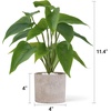 image:imageMkono Fake Plants in Pot 11 Potted Artificial Plants for Home Decor Indoor Faux Green Leaf Plant with Planter for Desk Shelf Table Office Room Decoration Grey SmallGrey