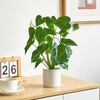 image:imageMkono Fake Plants in Pot 11 Potted Artificial Plants for Home Decor Indoor Faux Green Leaf Plant with Planter for Desk Shelf Table Office Room Decoration Grey SmallWhite
