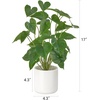 image:imageMkono Fake Plants in Pot 11 Potted Artificial Plants for Home Decor Indoor Faux Green Leaf Plant with Planter for Desk Shelf Table Office Room Decoration Grey SmallWhite
