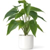 image:imageMkono Fake Plants in Pot 11 Potted Artificial Plants for Home Decor Indoor Faux Green Leaf Plant with Planter for Desk Shelf Table Office Room Decoration Grey SmallWhite