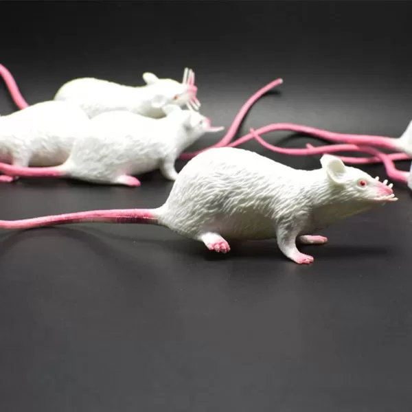 Toyvian 3pcs Fake Rat Toy Model Fake Mice Rat Prop Realistic Rat Ornament Prank Props Halloween Rat Decor