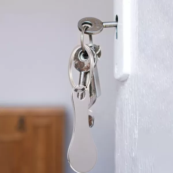imageToyvian 4Pcs Stainless Steel Key Rings for Shopping Cart  Shopping Cart CoinSilver