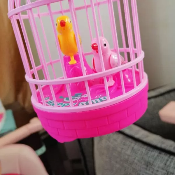 imageToyvian Childrens Toys Chirping Bird in Cage Voice Activated Induction Birds Bird Cage Toy Fluttering Birds Toys Gifts Educational Toy for Kids Children Without Battery Kids Musical ToysPicture 1