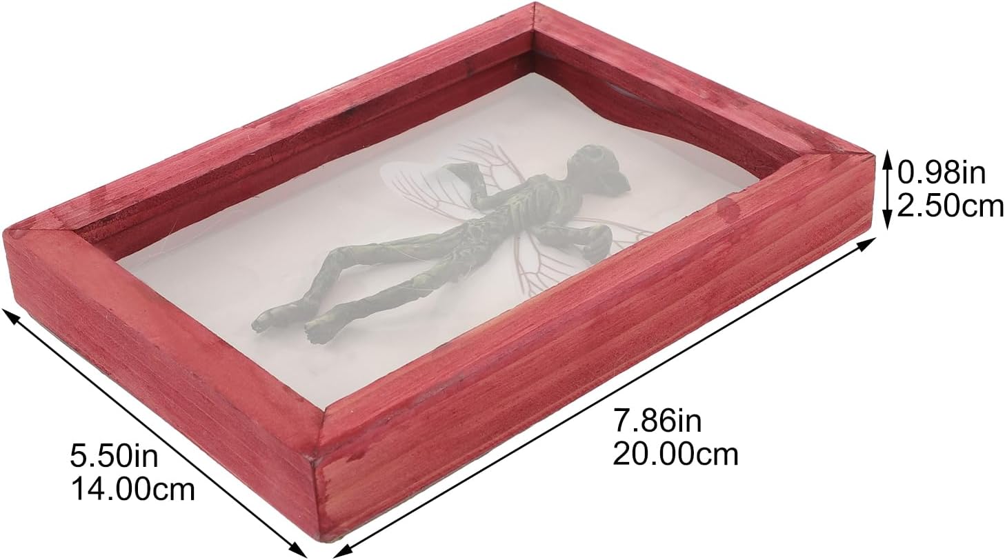 imageDecoration Creepy Skeleton Prop Halloween Horror Portrait Haunted Wall Decoration Creepy Specimen Decor Adorable Specimen Decor Creepy Skeleton Ghost Wood Vampire