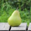 imageToyvian 4pcs Fake Pears Artificial Fruits Artificial Vivid Green Pears for Home Fruit Shop Supermarket Desk Office Restaurant Decorations Props