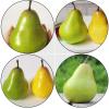 imageToyvian 4pcs Fake Pears Artificial Fruits Artificial Vivid Green Pears for Home Fruit Shop Supermarket Desk Office Restaurant Decorations Props