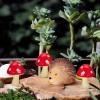 imageToyvian 1 Set Resin Fairy Garden Accessories 2 Hedgehogs and 4 Mushrooms Garden Decoration Mini Resin Animals Figures Landscape Figurines for Miniatures Garden Decorative Ornaments