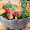 imageToyvian 1 Set Resin Fairy Garden Accessories 2 Hedgehogs and 4 Mushrooms Garden Decoration Mini Resin Animals Figures Landscape Figurines for Miniatures Garden Decorative Ornaments