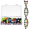 imageDNA Model Double Helix Structure Model DNA Display Component Biological Science Popularization Teaching for Science Teaching Display