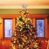 imageToyvian Star Christmas Tree Topper Lighted 10 Xmas Tree Topper 3D Glitter Gold Star Christmas Decorations for Christmas Tree Holiday Party Ornament GoldAs Shown