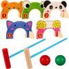 imageToyvian Children Croquet Set with Croquet Wood Mallets Classic Family Game for LawnBackyardPark and More