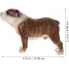 imageToyvian Realistic Bulldog Figurines  Lifelike Detailed Plastic Dog Model Mini Puppy Statue for Home Decor