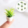 imageToyvian 7 Pcs Mini Plant Model Mini Succulent Plants Mini Plants Artificial Succulent Farmhouse Desktop Ornaments Small Artificial Succulent Plants Dollhouse Potted Flower Mini Decoration