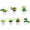 imageToyvian 7 Pcs Mini Plant Model Mini Succulent Plants Mini Plants Artificial Succulent Farmhouse Desktop Ornaments Small Artificial Succulent Plants Dollhouse Potted Flower Mini Decoration