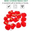 imageToyvian 15pcs Mini Cap Candy Hair Clips Christmas Ornaments Mini Dolls Tiny Christmas Hats Christmas Wine BottleRed