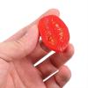 imageToyvian Fake Food Artificial Tomato 10pcs Simulation Cherry Tomatoes Slices Models  Lifelike Half Tomato Vegetable Ornament for Artificial Meat Food Dish Decor39X28X17CM