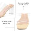 imagemysoft Clear Heels for Women Transparent Two Strap Block Chunky Square Heel Sandals Open Toe Slip On SandalsRaffia
