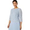 imageAlex Evenings Womens PlusSize Mock Dress with SequinLace BodiceSky