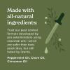 imageLizard Control Spray  32 oz  Natural Peppermint Formula  Indoor ampamp Outdoor Use  Keeps Iguanas Away  Safe Around Kids ampamp Pets