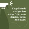 imageLizard Control Spray  32 oz  Natural Peppermint Formula  Indoor ampamp Outdoor Use  Keeps Iguanas Away  Safe Around Kids ampamp Pets