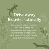 imageLizard Control Spray  32 oz  Natural Peppermint Formula  Indoor ampamp Outdoor Use  Keeps Iguanas Away  Safe Around Kids ampamp Pets