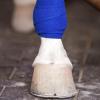 imageJuvale 12 Rolls Colorful Self Adhesive Bandage Wrap 4 Inch Wide x 5 Yards  Cohesive Vet Tape for First Aid Sports Tattoo 12 Colors  Vet Wrap
