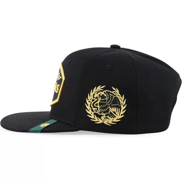 imageTrendy Apparel Shop Mexico States with Eagle Embroidered Flatbill Snapback CapZacatecas Black Black