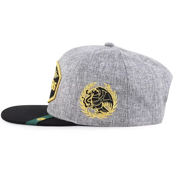 imageTrendy Apparel Shop Mexico States with Eagle Embroidered Flatbill Snapback CapZacatecas Hgrey Black