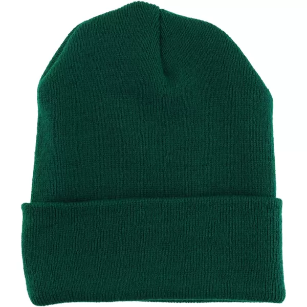 imageTrendy Apparel Shop Made in USA Winter Cuff Folded Long BeanieDark Green