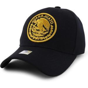 imageTrendy Apparel Shop Cities of Mexico Circular Logo Embroidered Structured Baseball CapGuanajuato Gold  Black